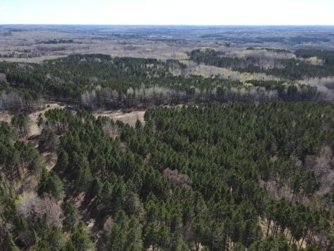 Tbd (164.21AC) Maple Grove Road Cloquet MN 55720