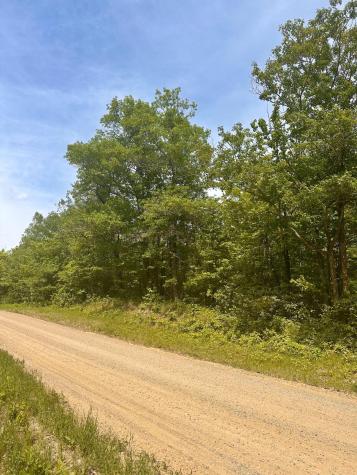Tbd County Road 157 NE Remer MN 56672
