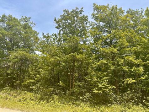 Tbd County Road 157 NE Remer MN 56672