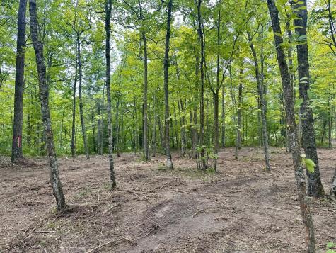Tbd County Road 157 NE Remer MN 56672