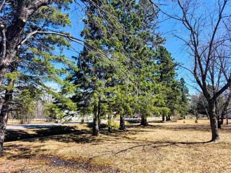 3672 County Rd 92 E Ranier MN 56668