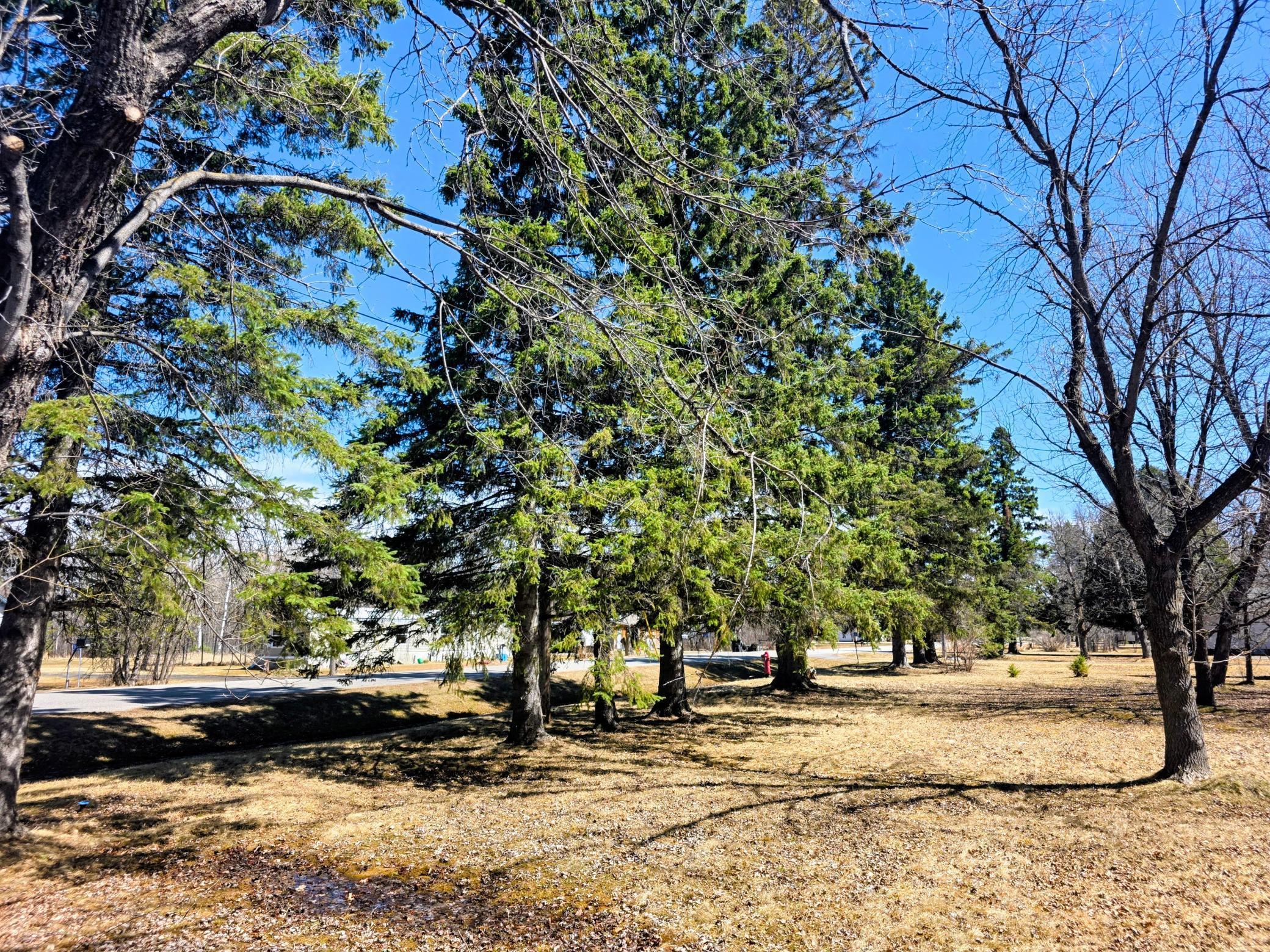 3672 County Rd 92 E Ranier MN 56668