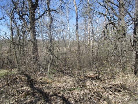 Tbd Burgen Terrace SE Alexandria MN 56308