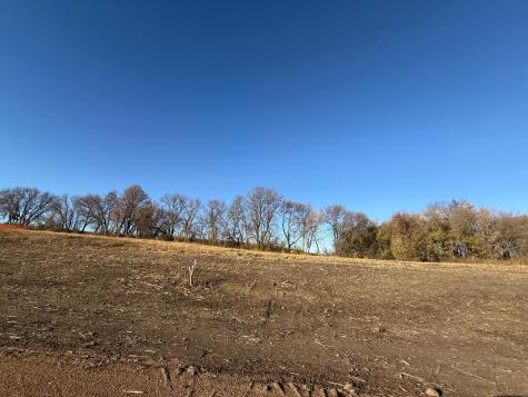 Lot 1, Block 2 Alivia's Avenue Pelican Rapids MN 56572