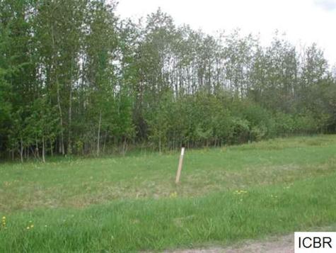 Lt 2 Blk 3 Aspen Drive Deer River MN 56636