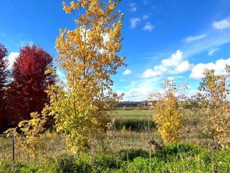 849 Meander Court Medina MN 55340