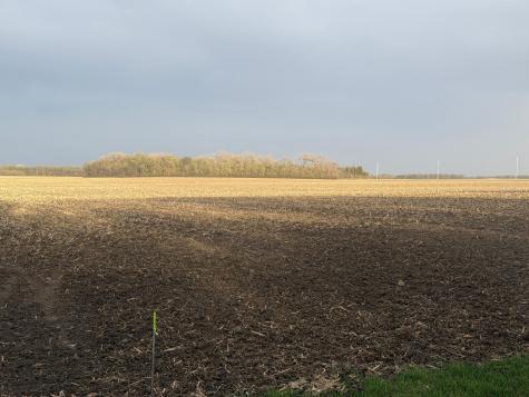 3544 250th Street Dawson MN 56232