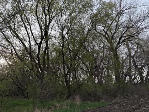 3544 250th Street Dawson MN 56232