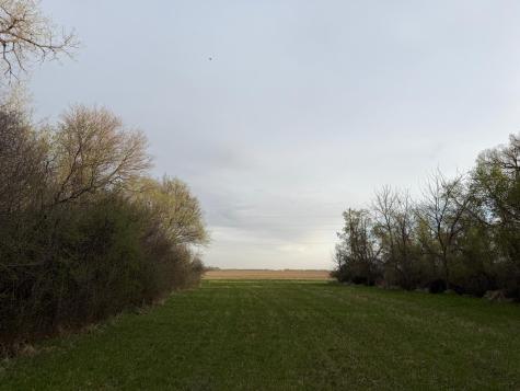 3544 250th Street Dawson MN 56232