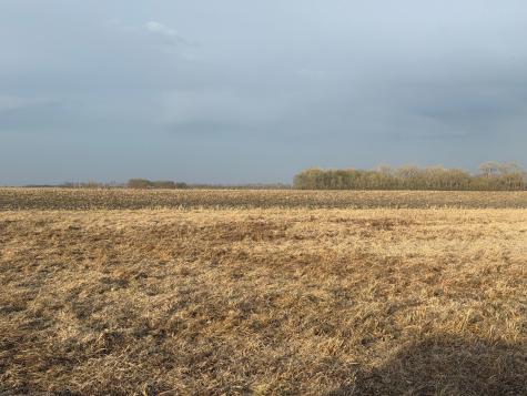 3544 250th Street Dawson MN 56232