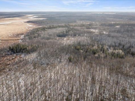 9815 County 8 NE Federal Dam MN 56641