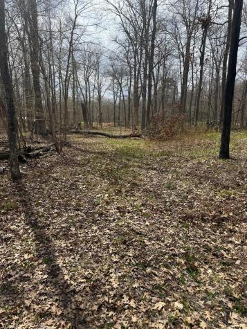 Tbd County Road 16 Pequot Lakes MN 56472