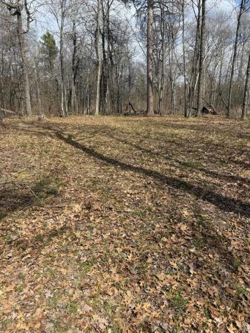 Tbd County Road 16 Pequot Lakes MN 56472
