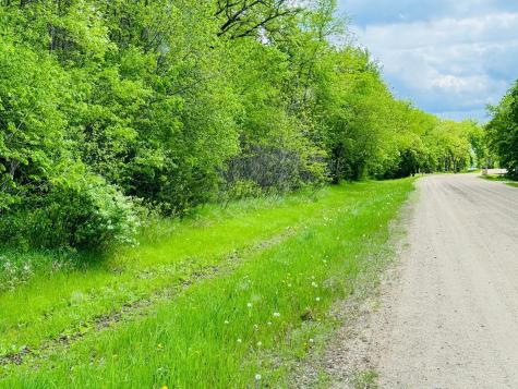 Lot 3 Canterbury Sands Trail Battle Lake MN 56515