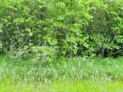 Lot 3 Canterbury Sands Trail Battle Lake MN 56515