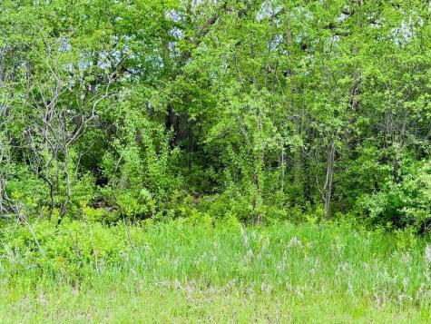 Lot 3 Canterbury Sands Trail Battle Lake MN 56515