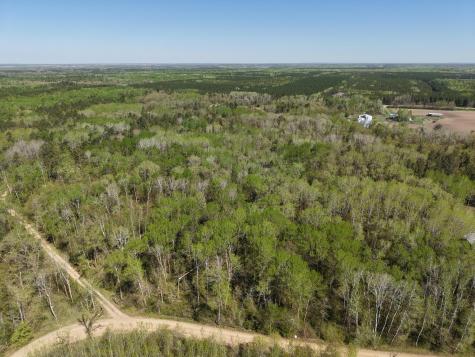 Tbd 8 Bog Lake Trail Osage MN 56570