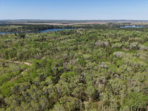 Tbd 8 Bog Lake Trail Osage MN 56570