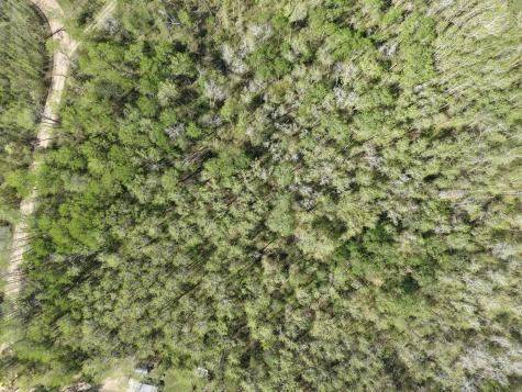 Tbd 8 Bog Lake Trail Osage MN 56570