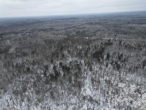 Tbd Us-71 Big Falls MN 56627