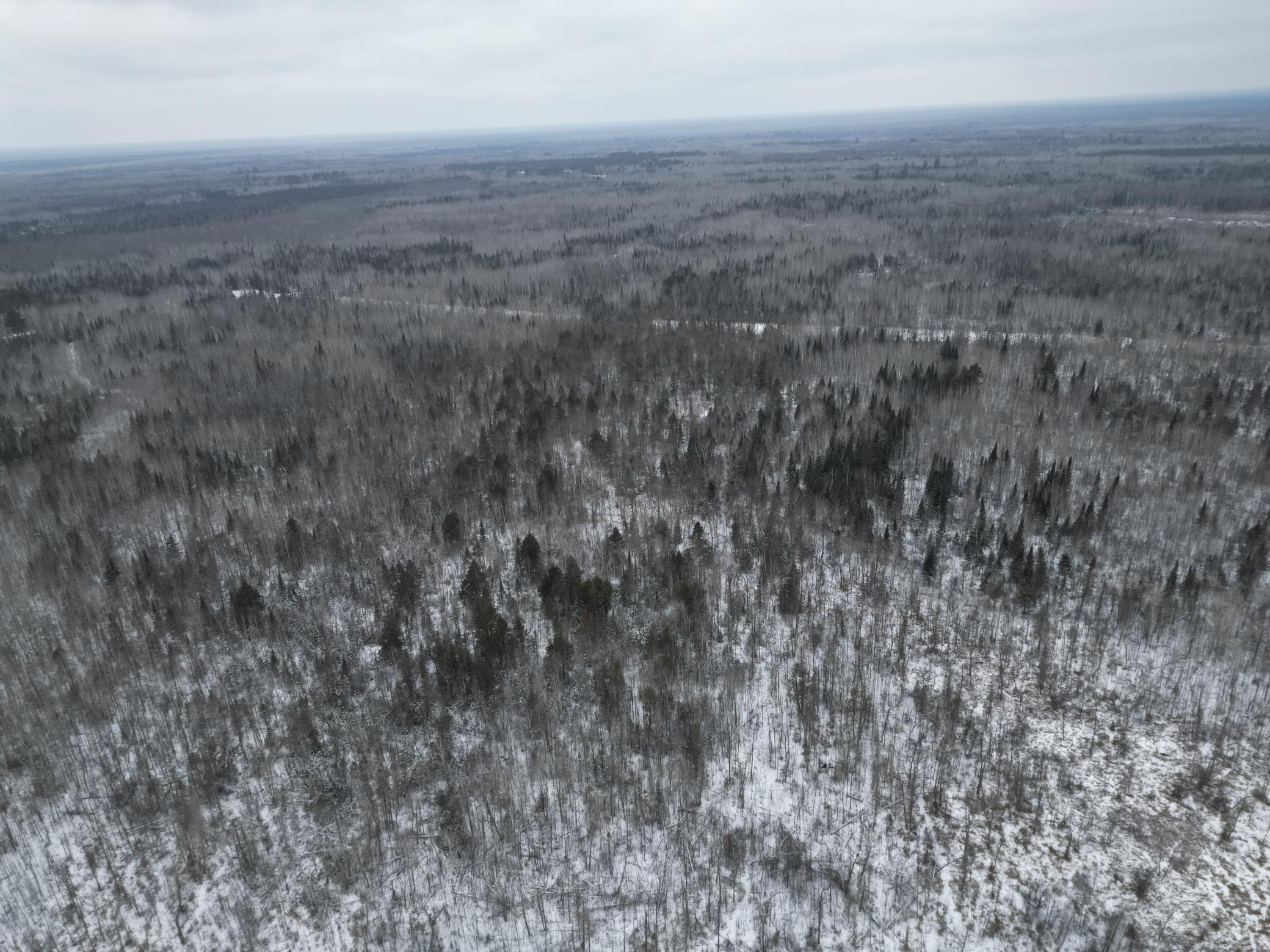 Tbd Us-71 Big Falls MN 56627