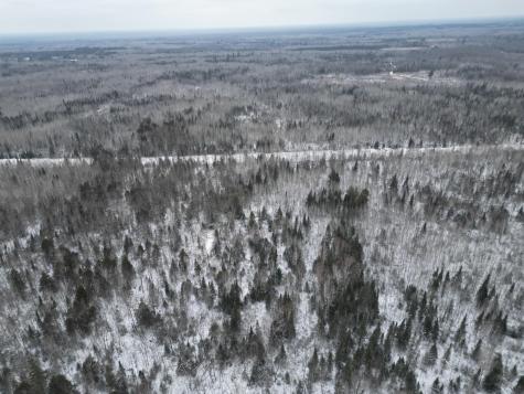 Tbd Us-71 Big Falls MN 56627