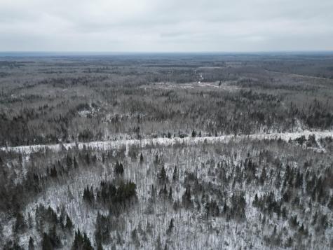 Tbd Us-71 Big Falls MN 56627