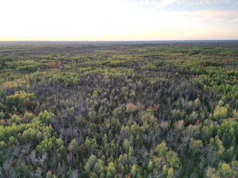 Tbd Us-71 Big Falls MN 56627