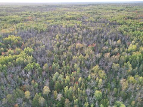 Tbd Us-71 Big Falls MN 56627