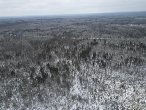Tbd Us-71 Big Falls MN 56627