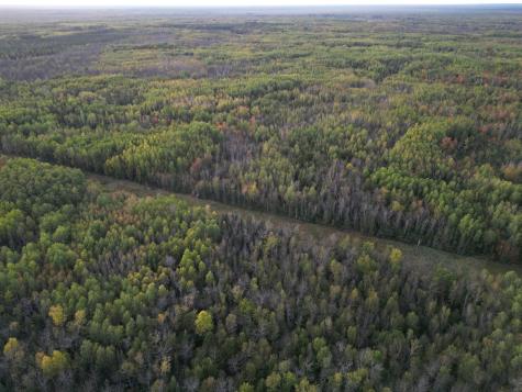 Tbd Us-71 Big Falls MN 56627