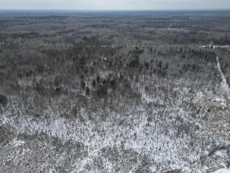 Tbd Us-71 Big Falls MN 56627