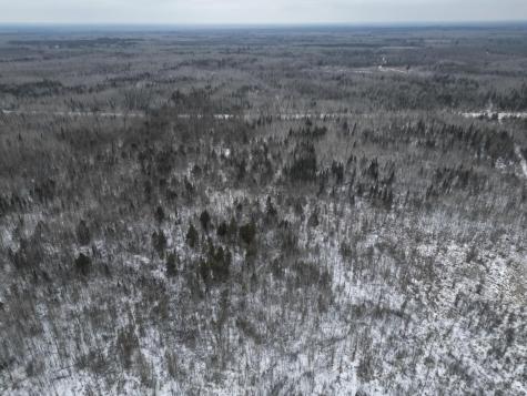 Tbd Us-71 Big Falls MN 56627
