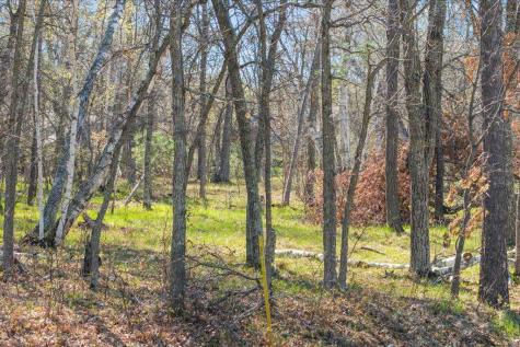 34XXX Lot 1 Happy Landing Road Cross Lake MN 56442