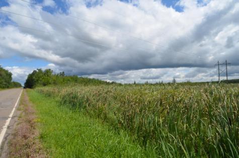 12084 County Road 144 Brainerd MN 56401
