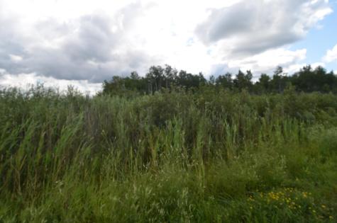 12084 County Road 144 Brainerd MN 56401