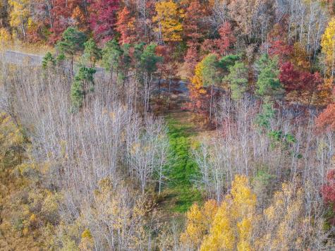 12084 County Road 144 Brainerd MN 56401