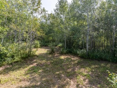 12084 County Road 144 Brainerd MN 56401
