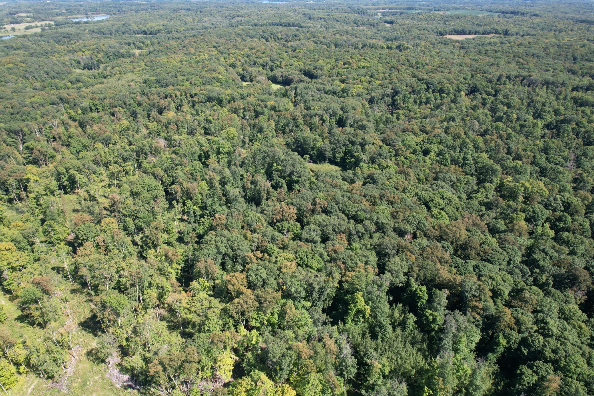 Tbd 485th Street Vergas MN 56587