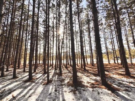 Tbd Pine Cone Road Menahga MN 56464