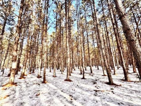 Tbd Pine Cone Road Menahga MN 56464