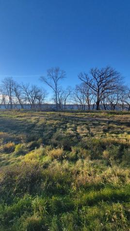 Tbd Lot 4 County Road 9 NE Willmar MN 56201