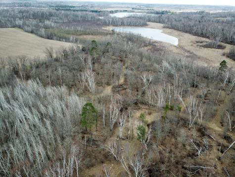 Tbd Boot Lake Road SW Bemidji MN 56601