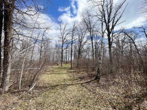 Tbd Boot Lake Road SW Bemidji MN 56601