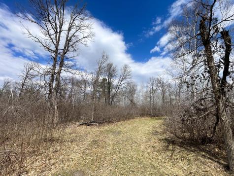 Tbd Boot Lake Road SW Bemidji MN 56601
