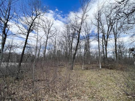 Tbd Boot Lake Road SW Bemidji MN 56601