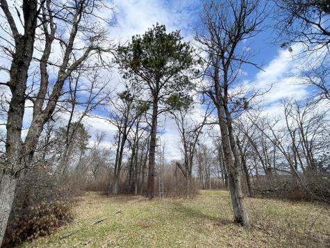 Tbd Boot Lake Road SW Bemidji MN 56601