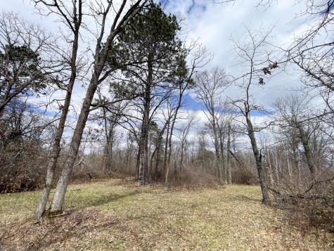 Tbd Boot Lake Road SW Bemidji MN 56601
