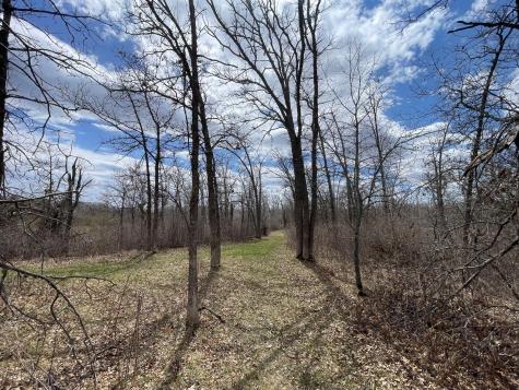 Tbd Boot Lake Road SW Bemidji MN 56601
