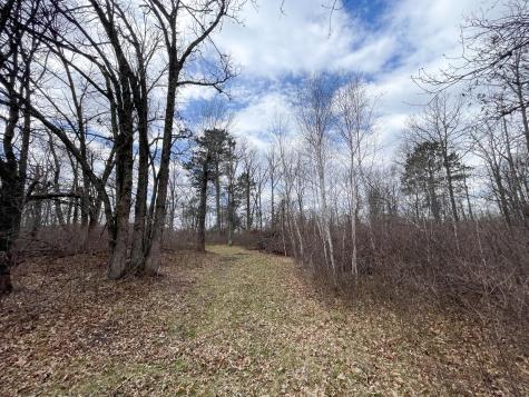 Tbd Boot Lake Road SW Bemidji MN 56601